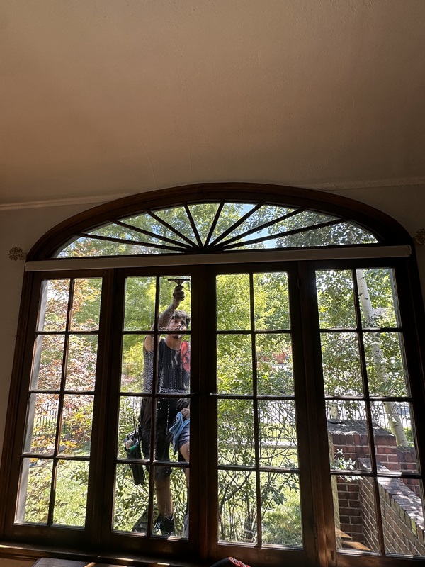 Clean Windows, Happy Planet: Eco-Friendly Window Cleaning